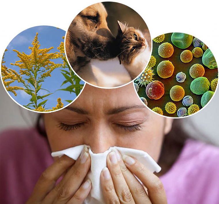 preparati protiv allergii